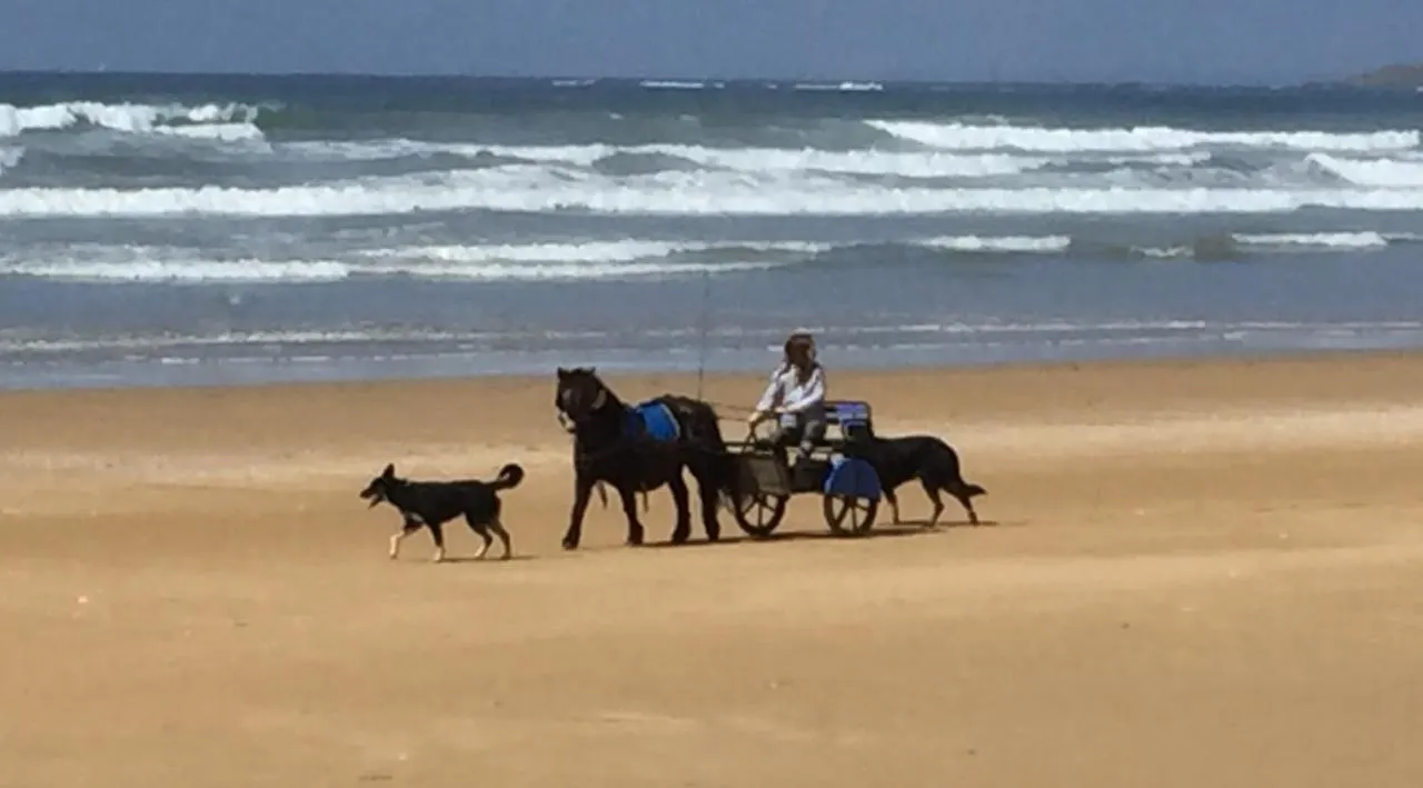 Appt T2 Proche Plage Plouharnel